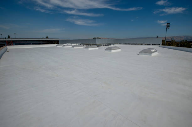 Best Asphalt Shingles Roofing  in Cosmopolis, WA